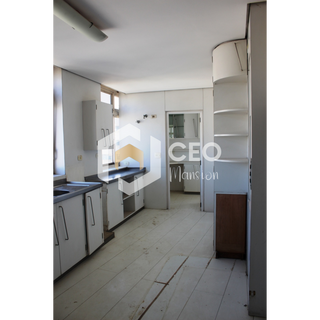  Imobiliaria São Paulo aluguel de casa São Paulo aluguel de apartamento São Paulo casa a venda São Paulo