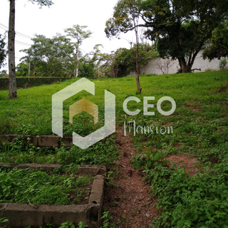  Imobiliaria São Paulo aluguel de casa São Paulo aluguel de apartamento São Paulo casa a venda São Paulo