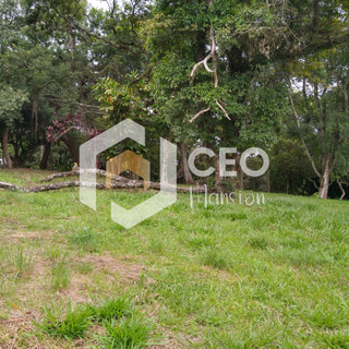  Casa para alugar São Paulo casa para vender em São Paulo locação de casa São Paulo