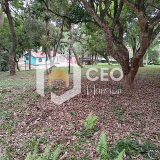  Imobiliaria São Paulo aluguel de casa São Paulo aluguel de apartamento São Paulo casa a venda São Paulo