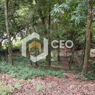  Imobiliaria São Paulo aluguel de casa São Paulo aluguel de apartamento São Paulo casa a venda São Paulo