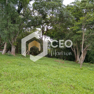  Imobiliaria São Paulo aluguel de casa São Paulo aluguel de apartamento São Paulo casa a venda São Paulo