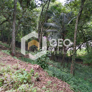  Imobiliaria São Paulo aluguel de casa São Paulo aluguel de apartamento São Paulo casa a venda São Paulo